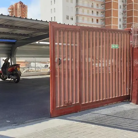 Virginia-48-2 ベニドルム