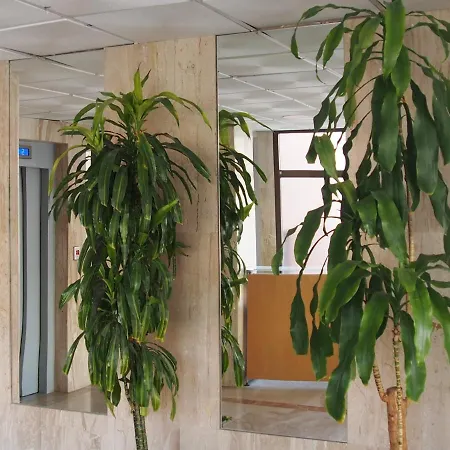 Virginia-48-2 Appartement Benidorm